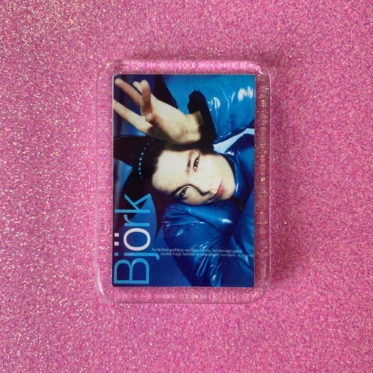 Björk Magnet